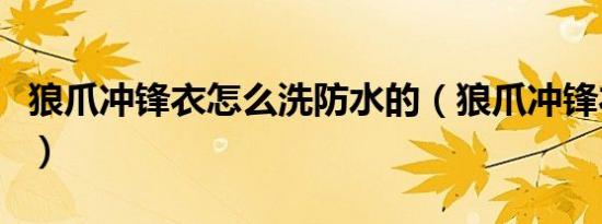 狼爪冲锋衣怎么洗防水的（狼爪冲锋衣怎么洗）