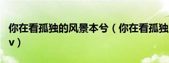 你在看孤独的风景本兮（你在看孤独的风景mv）