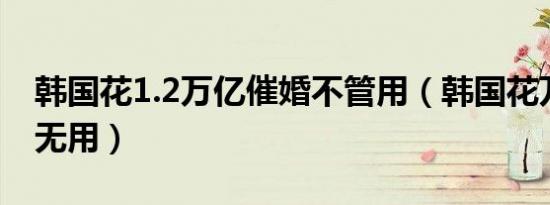 问道卡星什么意思（问道卡）