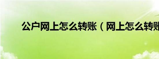 公户网上怎么转账（网上怎么转账）
