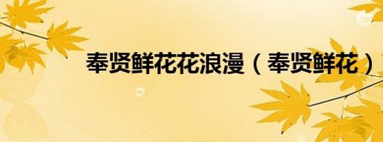 奉贤鲜花花浪漫（奉贤鲜花）