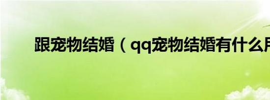 跟宠物结婚（qq宠物结婚有什么用）