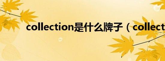 collection是什么牌子（collect）