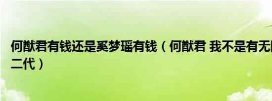 何猷君有钱还是奚梦瑶有钱（何猷君 我不是有无限额度的富二代）