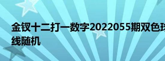 金钗十二打一数字2022055期双色球单注在线随机