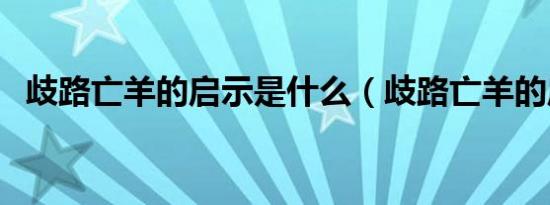 歧路亡羊的启示是什么（歧路亡羊的启示）
