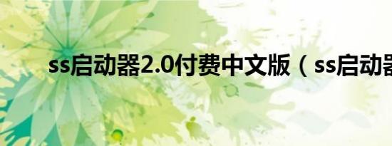 ss启动器2.0付费中文版（ss启动器）