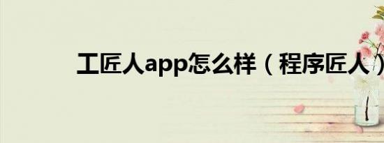 工匠人app怎么样（程序匠人）
