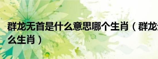 群龙无首是什么意思哪个生肖（群龙无首是什么生肖）