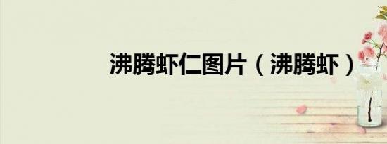 沸腾虾仁图片（沸腾虾）