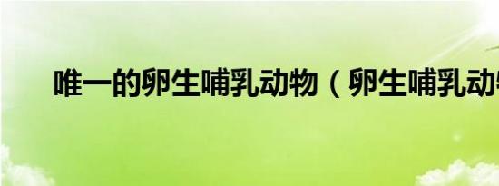 唯一的卵生哺乳动物（卵生哺乳动物）