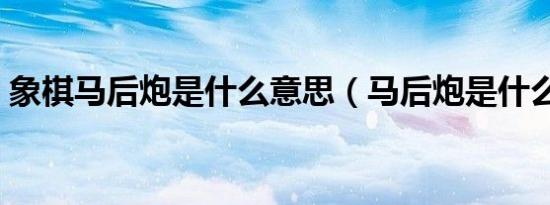 象棋马后炮是什么意思（马后炮是什么意思）