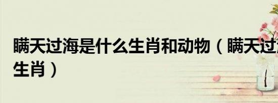 瞒天过海是什么生肖和动物（瞒天过海是什么生肖）