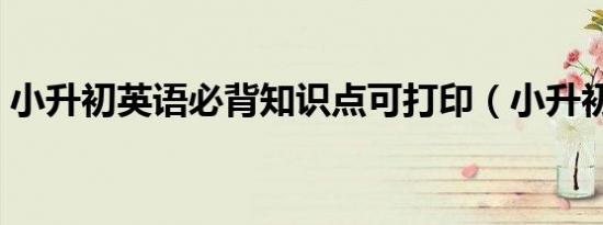 小升初英语必背知识点可打印（小升初英语）