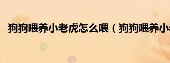 狗狗喂养小老虎怎么喂（狗狗喂养小老虎）