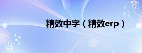 精效中字（精效erp）