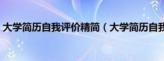 大学简历自我评价精简（大学简历自我评价）