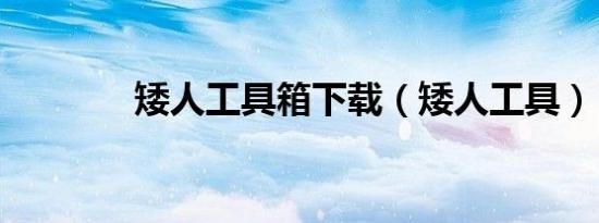 矮人工具箱下载（矮人工具）