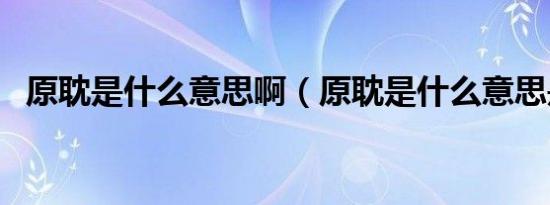 原耽是什么意思啊（原耽是什么意思是啥）