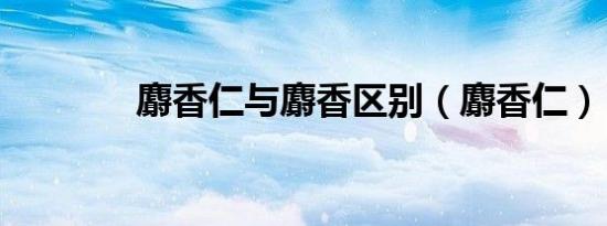 麝香仁与麝香区别（麝香仁）