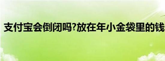 支付宝会倒闭吗?放在年小金袋里的钱安全吗