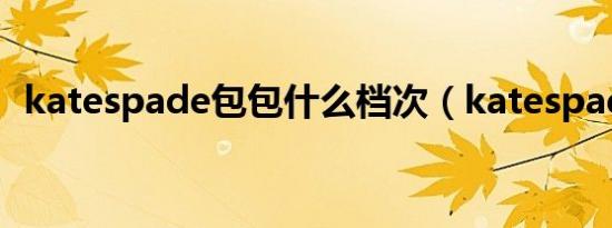 katespade包包什么档次（katespade包）