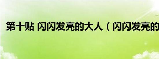 第十贴 闪闪发亮的大人（闪闪发亮的大人）