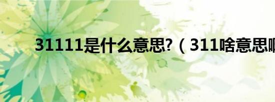 31111是什么意思?（311啥意思啊）