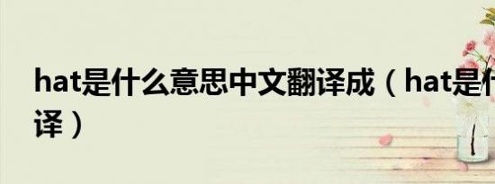 hat是什么意思中文翻译成（hat是什么意思译）