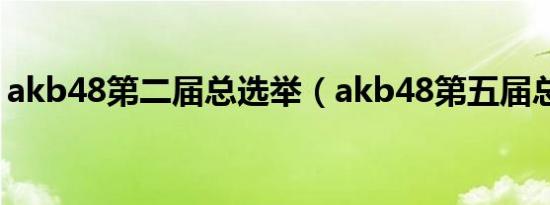 akb48第二届总选举（akb48第五届总选举）