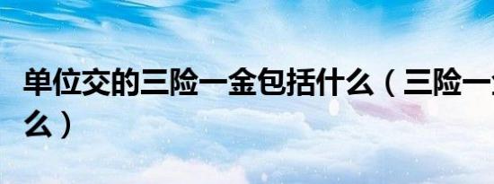 单位交的三险一金包括什么（三险一金包括什么）