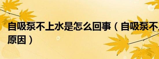 自吸泵不上水是怎么回事（自吸泵不上水什么原因）