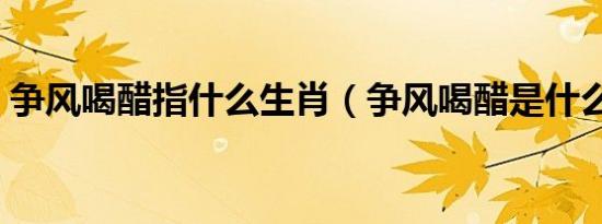 争风喝醋指什么生肖（争风喝醋是什么生肖）