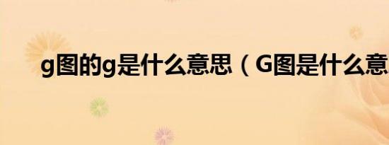 g图的g是什么意思（G图是什么意思）