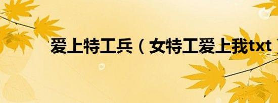 爱上特工兵（女特工爱上我txt）
