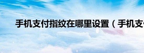 手机支付指纹在哪里设置（手机支付）