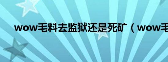 wow毛料去监狱还是死矿（wow毛料）