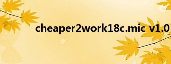 cheaper2work18c.mic v1.0