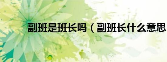 副班是班长吗（副班长什么意思）