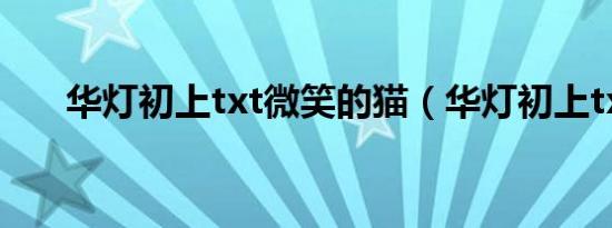 华灯初上txt微笑的猫（华灯初上txt）