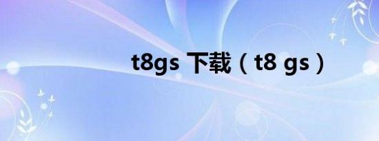 t8gs 下载（t8 gs）