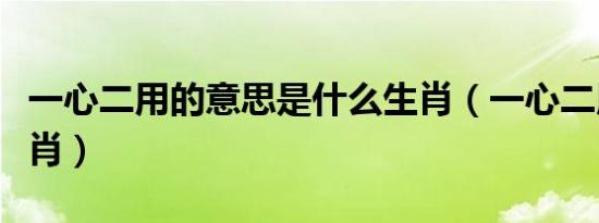 一心二用的意思是什么生肖（一心二用打一生肖）