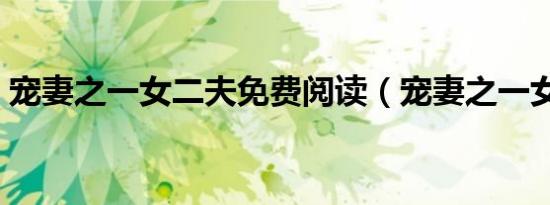 宠妻之一女二夫免费阅读（宠妻之一女二夫）
