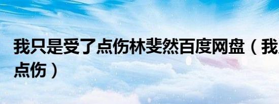 我只是受了点伤林斐然百度网盘（我只是受了点伤）