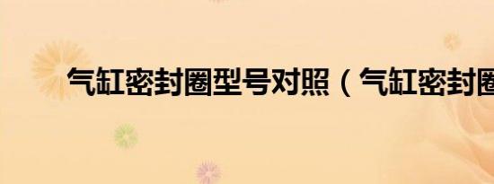 气缸密封圈型号对照（气缸密封圈）
