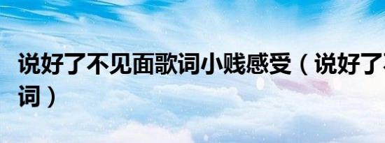 说好了不见面歌词小贱感受（说好了不见面歌词）