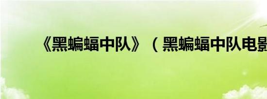 《黑蝙蝠中队》（黑蝙蝠中队电影）