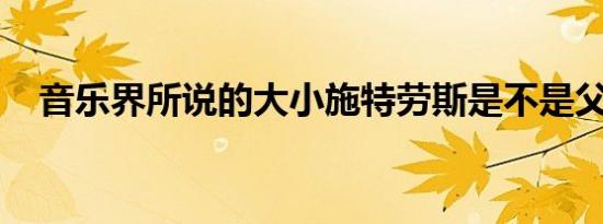 音乐界所说的大小施特劳斯是不是父子关