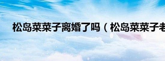 松岛菜菜子离婚了吗（松岛菜菜子老公）