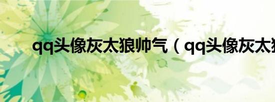 qq头像灰太狼帅气（qq头像灰太狼）